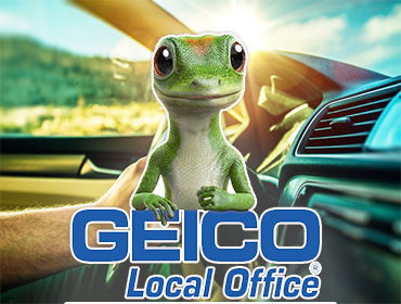 Geico Insurance