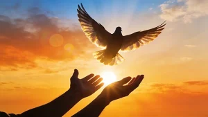 Outstretched hands reaching towards the sky, releasing a dove.